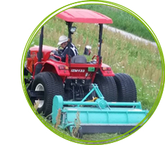 除草作業 除草作業