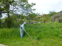 除草作業・草刈作業