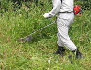 家庭向けサービス 家庭向けサービス